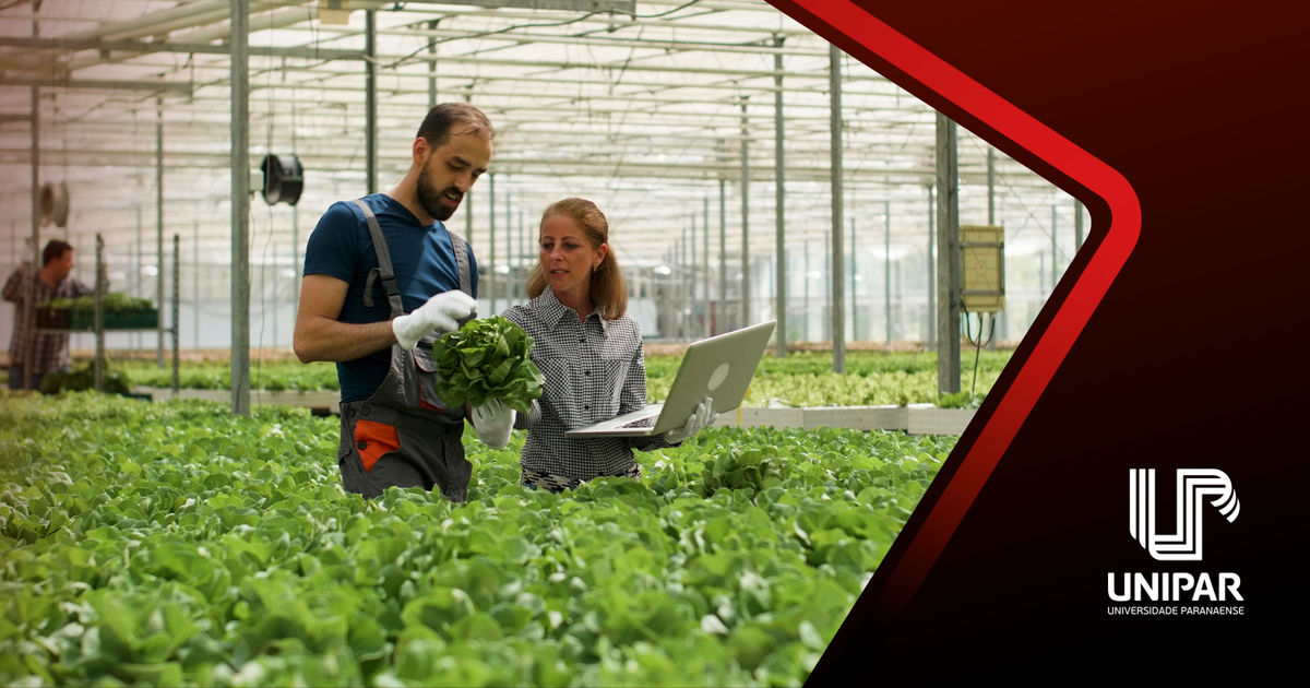 Manejo de Solo e Nutrição de Plantas