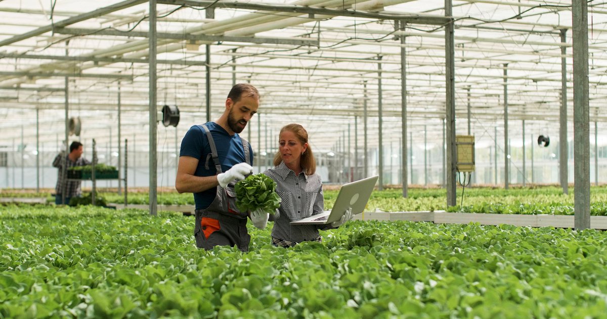 Fertilidade de Solo e Nutrição de Plantas
