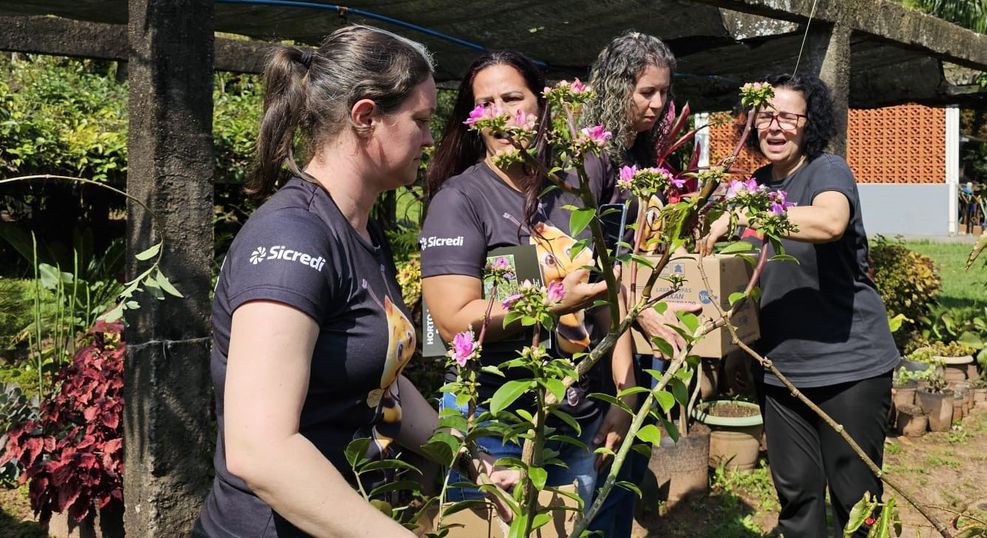 Horto Medicinal Unipar doa mudas para Cemei de Cafezal do Sul.