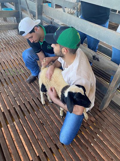 Atividade prática marca o início do projeto de ensino Produção Animal Sustentável.